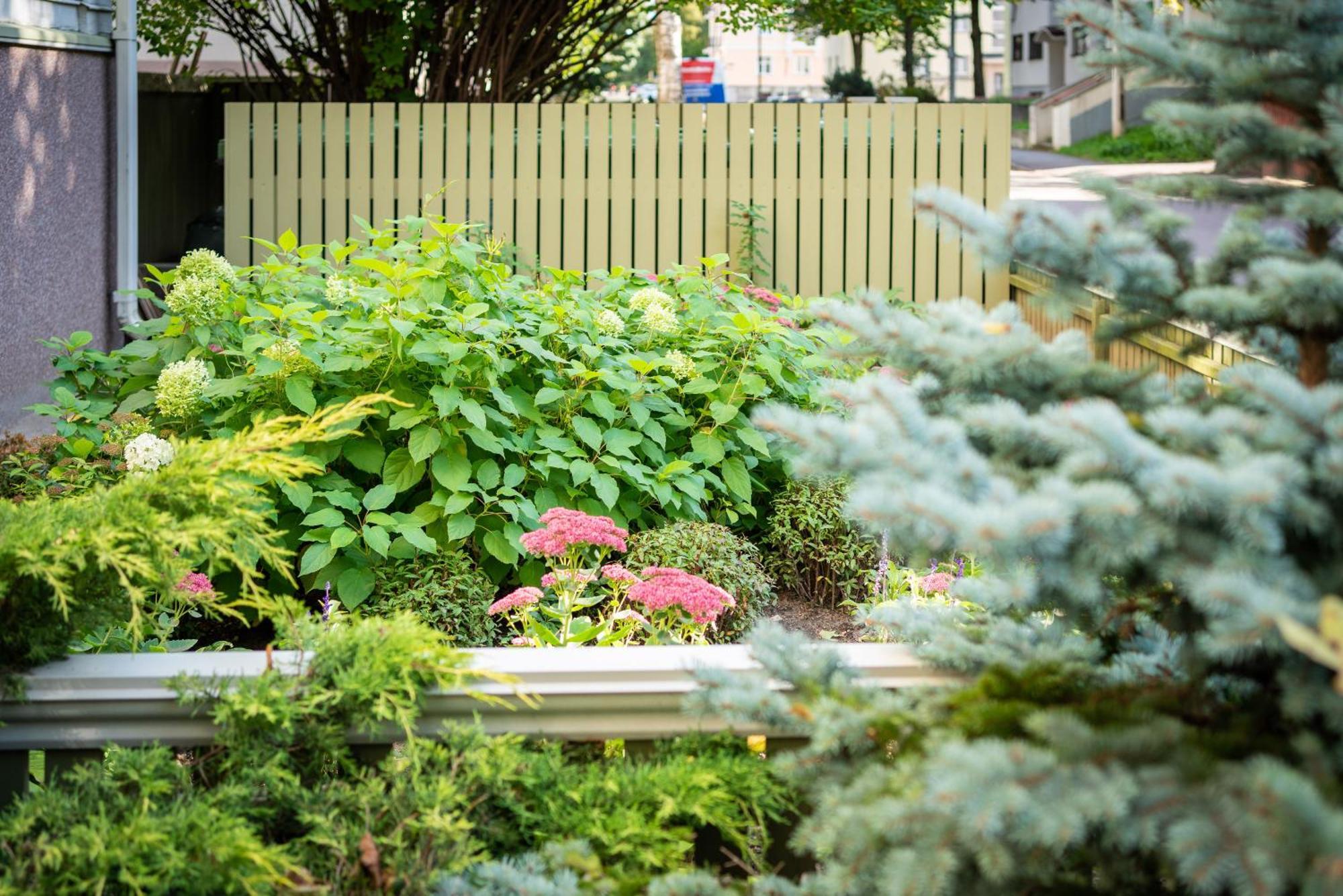 Garden Camping Tallinn Extérieur photo