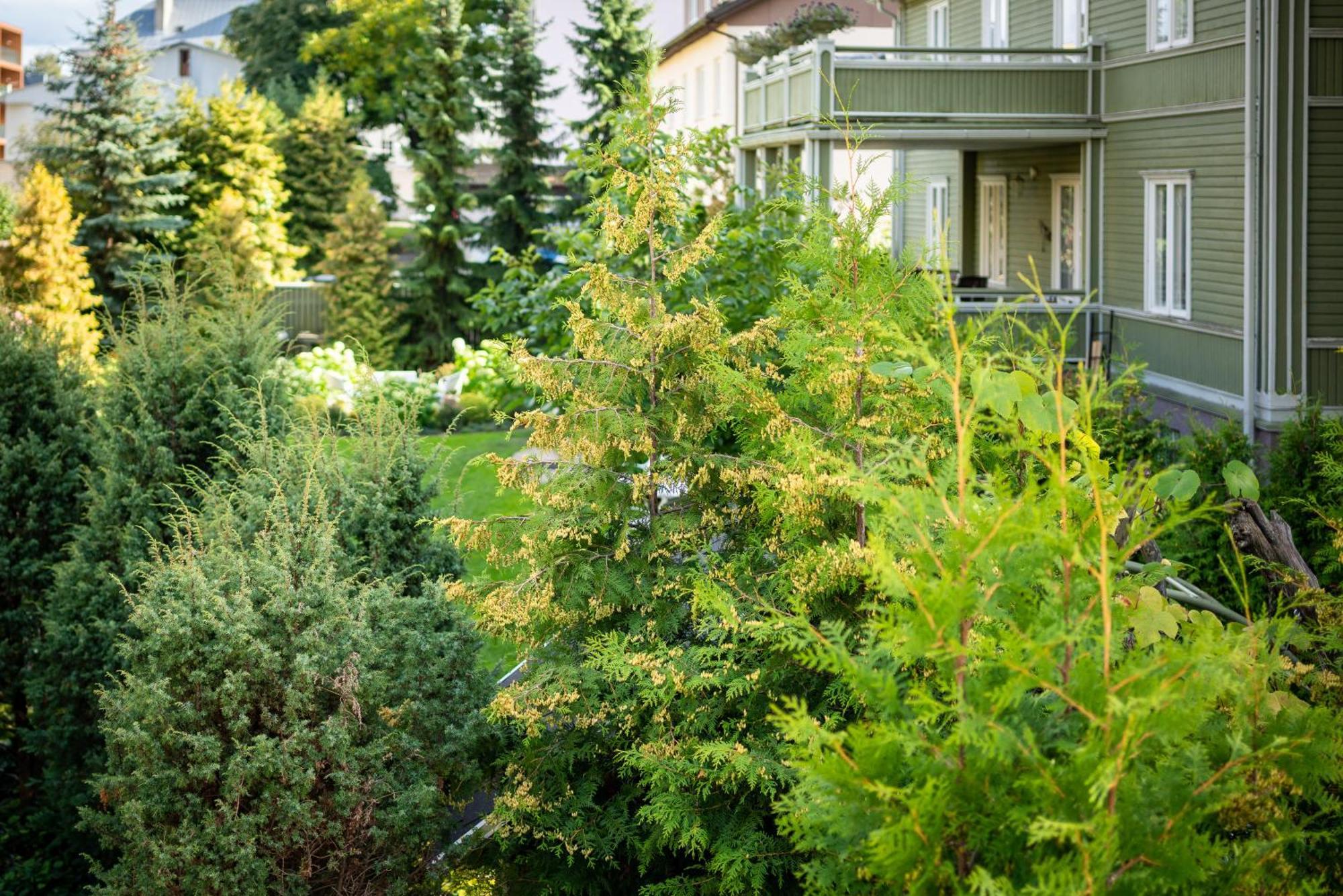 Garden Camping Tallinn Extérieur photo