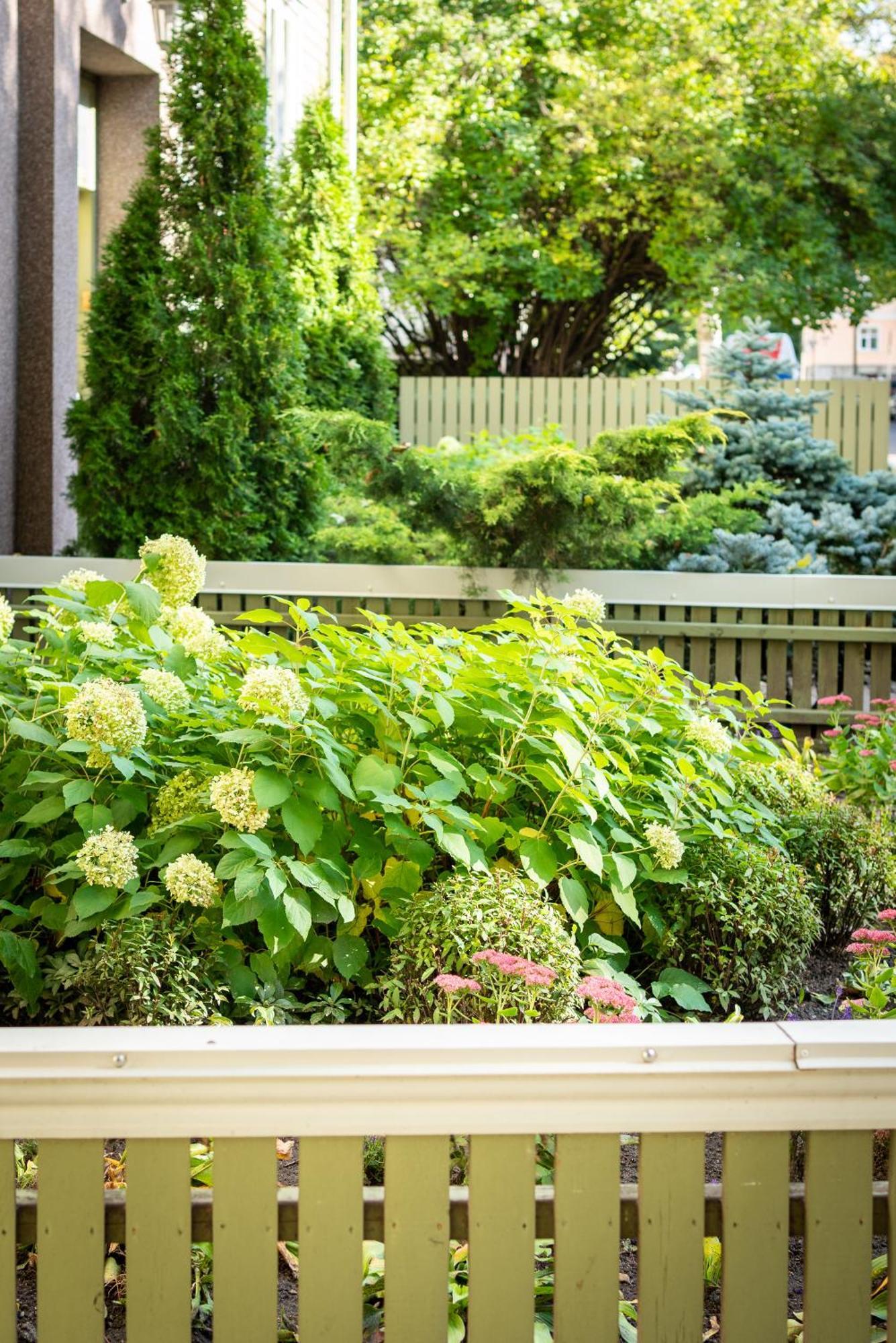 Garden Camping Tallinn Extérieur photo
