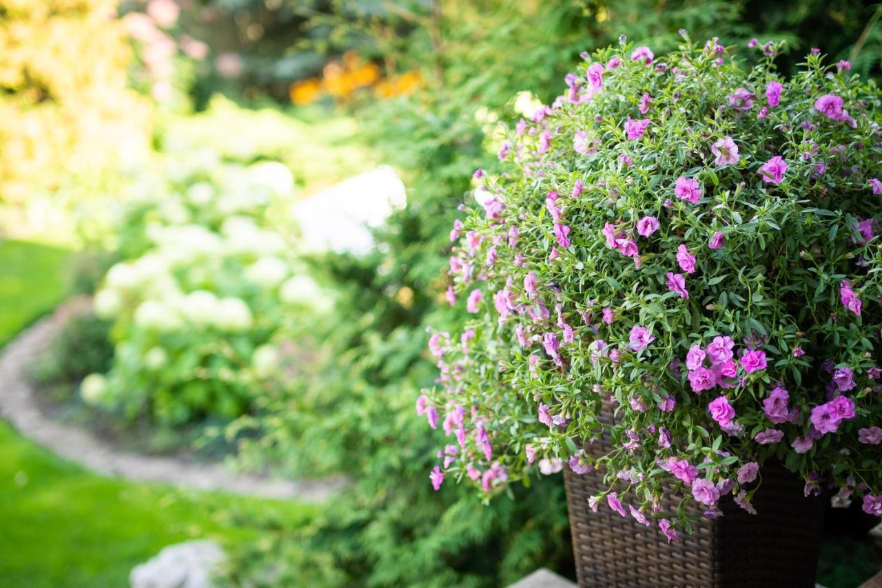 Garden Camping Tallinn Extérieur photo